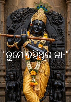 "ତୁମେ କହିଥିଲ ନା-"