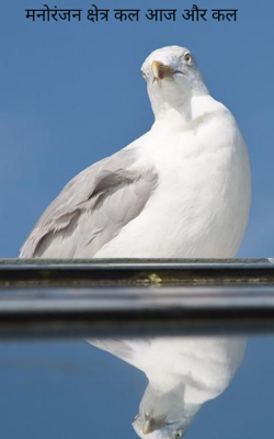मनोरंजन क्षेत्र कल आज और कल