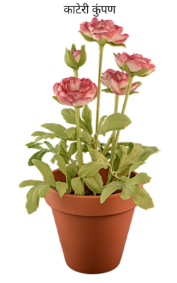 काटेरी कुंपण