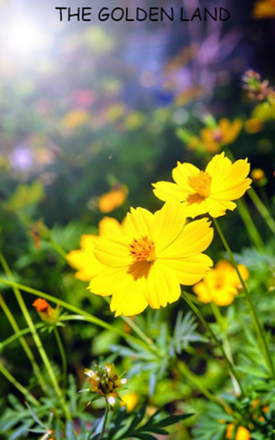 The Golden Land
