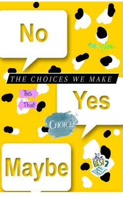 The Choices We Make
