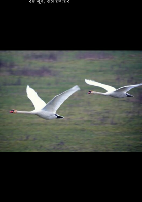 ओवी मोक्षपटाची