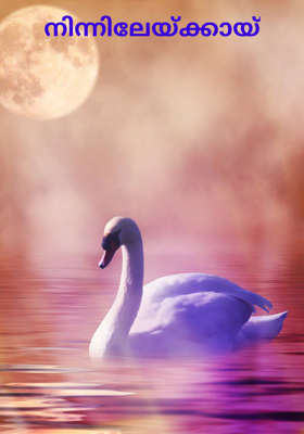 നിന്നിലേയ്ക്കായ്