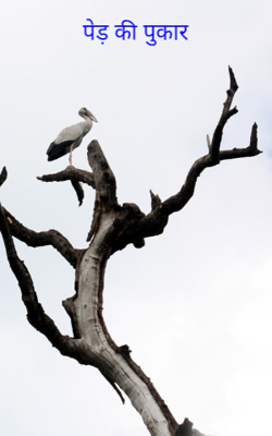 पेड़ की पुकार