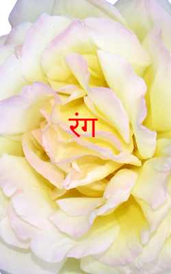 रंग