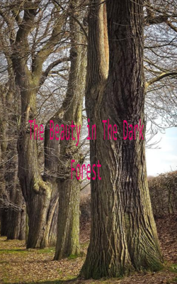 The Beauty in The Dark Forest