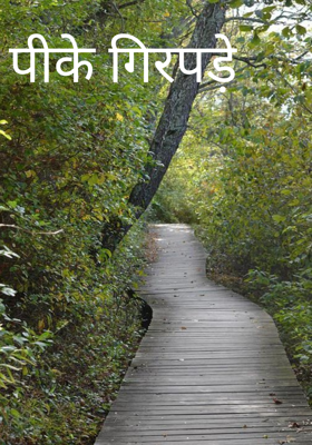 पीके गिरपड़े