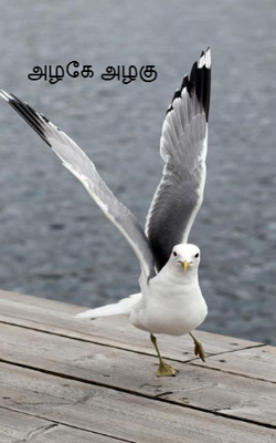 அழகே அழகு