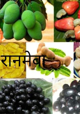 रानमेवा