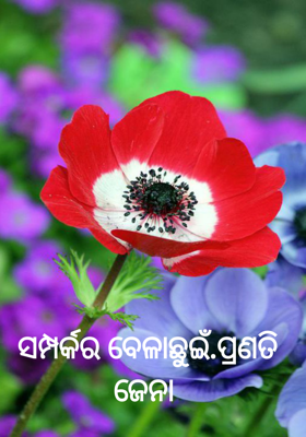 ସମ୍ପର୍କର ବେଳାଛୁଇଁ