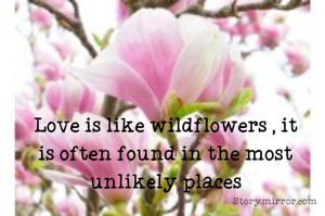 Love is like wildflowers , it is often found in the most unlikely places