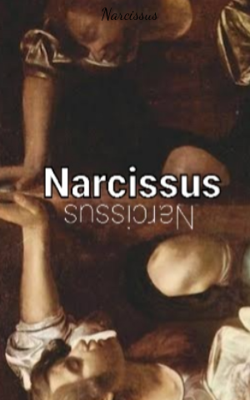 Narcissus:the tragic death of a young demi-god