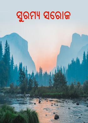 ସୁରମ୍ୟ ସରୋଜ