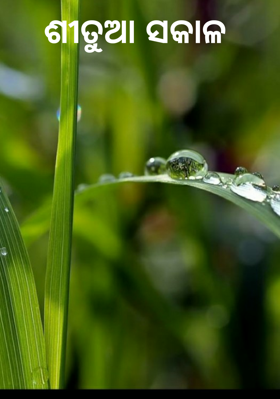 ଶୀତୁଆ ସକାଳ