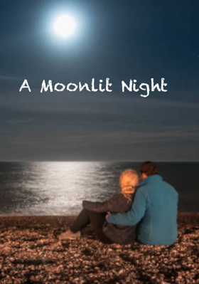 A Moonlit Night