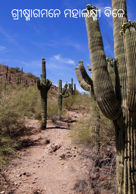 ଗ୍ରୀଷ୍ମାଗମନେ ମହାଲକ୍ଷ୍ମୀ ବିଜେ