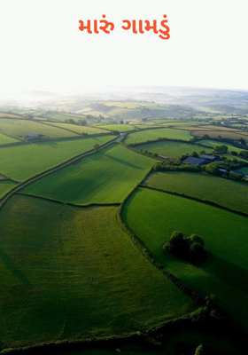 મારું ગામડું