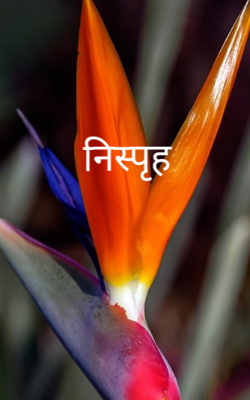 निस्पृह