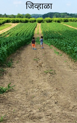 जिव्हाळा