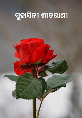 ସୁହାସିନୀ ଶୀତରାଣୀ