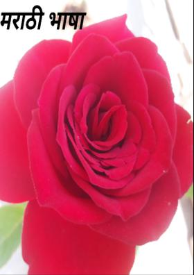 मराठी भाषा