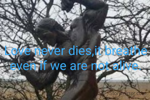 Love never dies,it breathe even if we are not alive.