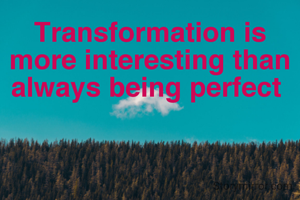 Transformation is more interesting than always being perfect 