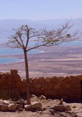 ମଣିଷ ପ୍ରକୃତି