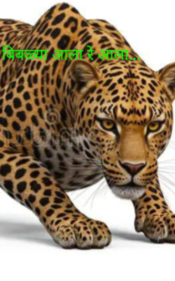 बिबळ्या आला रे आला...