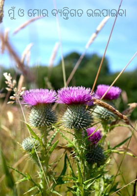 ମୁଁ ଓ ମୋର ବ୍ୟକ୍ତିଗତ ଭଲପାଇବା 