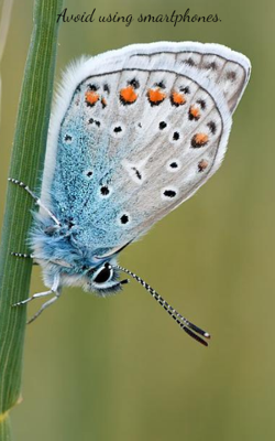 Avoid Using Smartphones