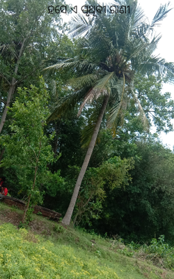 ହସେ ଏ ପୃଥିବୀ ରାଣୀ