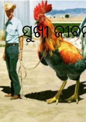 ସୁଖୀ ଜୀବନ