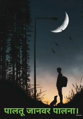 पालतू जानवर पालना।