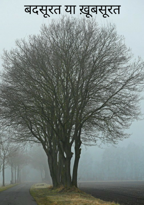 बदसूरत या ख़ूबसूरत