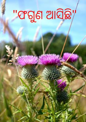 "ଫଗୁଣ ଆସିଛି"