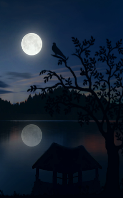 व्यथा एका पाखराची