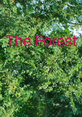 The Forest