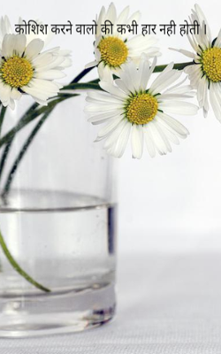कोशिश करने वालो की कभी हार नही होती ।