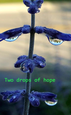 Two drops of hope
