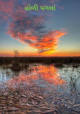 હોળી પગલાં