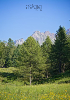 ମନିପ୍ଲାଣ୍ଟ 