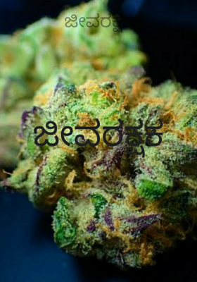 ಜೀವರಕ್ಷಕ