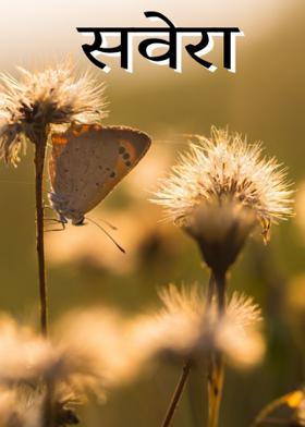 सवेरा