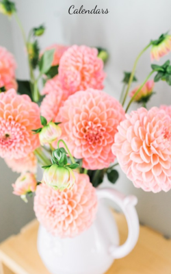 Calendars