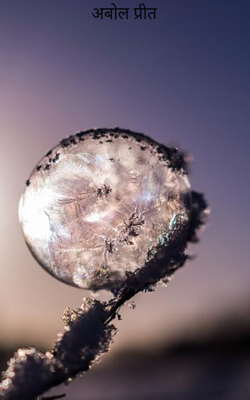 अबोल प्रीत 