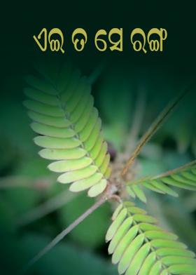 ଏଇ ତ ସେ ରଙ୍ଗ