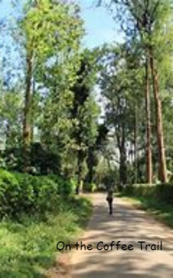 On the Coffee Trail