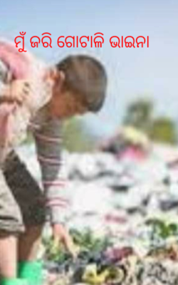 ମୁଁ ଜରି ଗୋଟାଳି ଭାଇନା