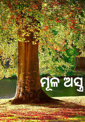 ମୂଳ ଅସ୍ତ୍ର